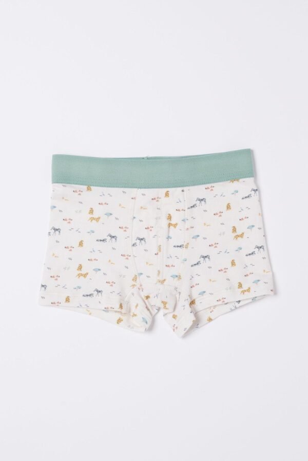 2-Pack Safari Boxers - Image 17