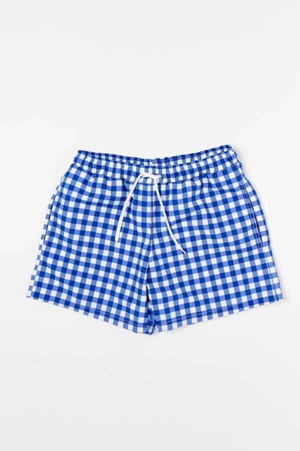 Blue vichy men's swimsuit